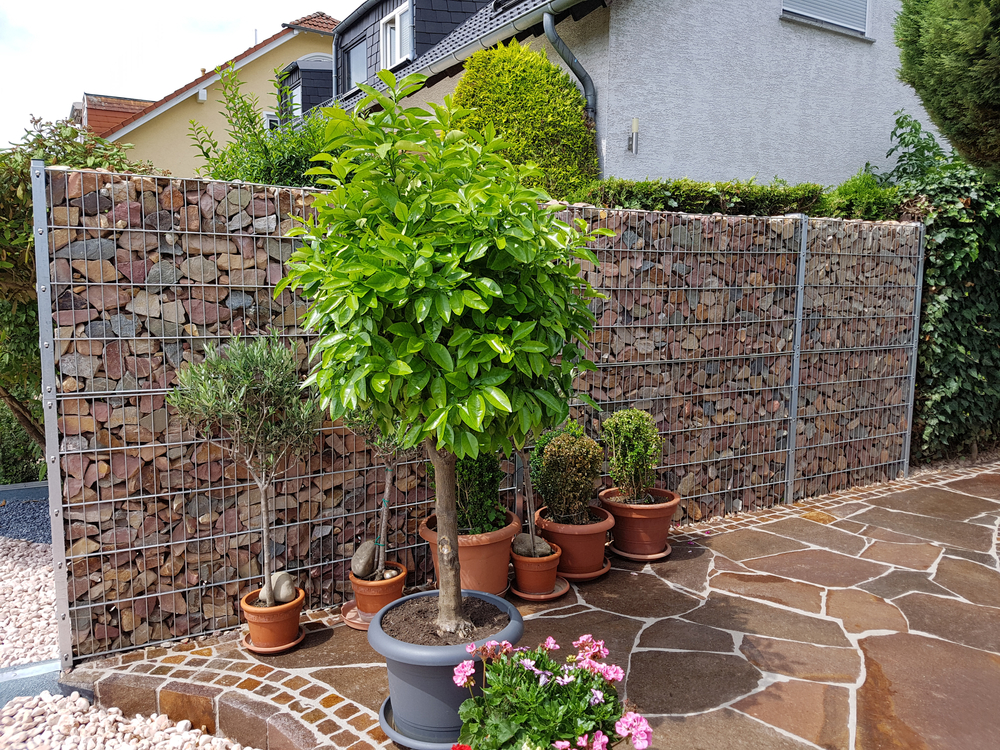 gabion fences